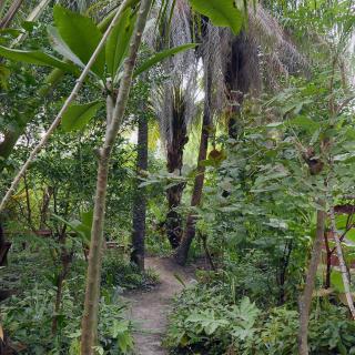 Campement solidaire Nioko Bokk - 6