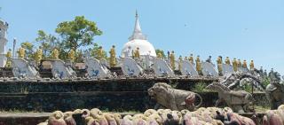 Jungle Cabin - Bundala - 7