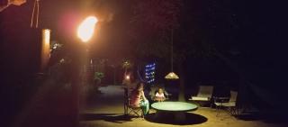 Jungle Cabin - Bundala - 9