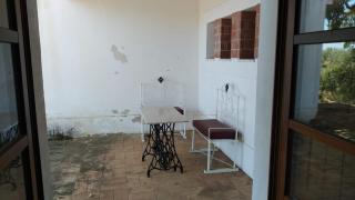 Alentejo Suite w Kitchenette in typical Monte Até que Enfim in Odemira - Odemira - 6