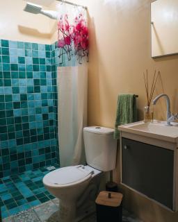 Casa dos Coqueiros in Morro de São Paulo Com Jardim Privativo - 8