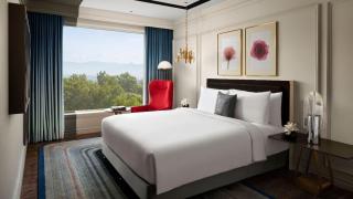 Hotel De Gross infinity Free convention Centre Drop - New Delhi - 0
