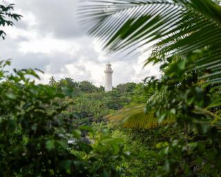 Casa dos Coqueiros in Morro de São Paulo Com Jardim Privativo - 4