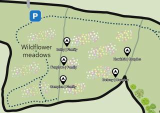 Hogchester Meadow Pods - Charmouth - 6