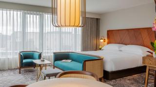 Hotel De Gross infinity Free convention Centre Drop - New Delhi - 1