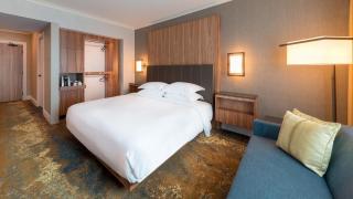 Hotel De Gross infinity Free convention Centre Drop - New Delhi - 5