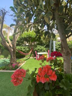 Le Havre Botanical Garden - Agadir - 3