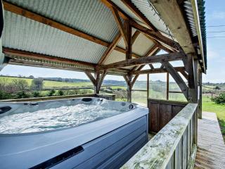 2 Bed in Narberth 72865 - Whitland - 4