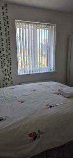 Alyc-home - Peterborough - 8