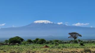 Amanya Star Bed Amboseli - Amboseli - 6