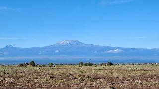 Amanya Star Bed Amboseli - Amboseli - 4