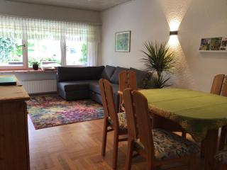 Ferienwohnung Laudenbach - Laudenbach - 9