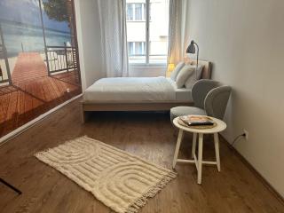 Newly renovated apartment near the Palladium - Prag - 2