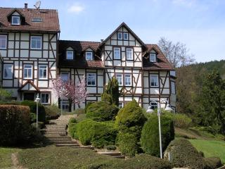 Familienfreundliche, Komfortable Ferienwohnung Mit Garten - Bad Sachsa - 7