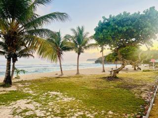 Cocon des îles - 8