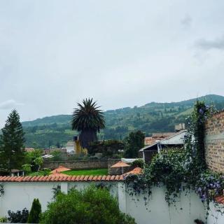 Hotel San Gabriel Tibasosa - 7