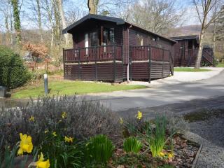 1 Bed in Keswick 82550 - Keswick - 9