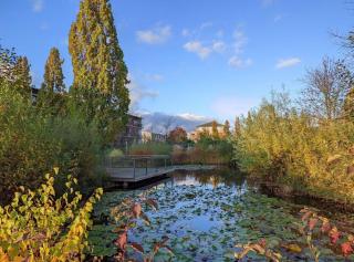 Luxus Apartment Hannover - Hannover - 1