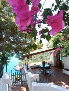 NSM Villa Carlotta E Villa Guarda che Mare con vista panoramica - Pugnochiuso - 0