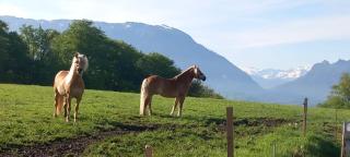 Fuchsbauernhof - Piding - 5