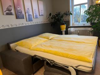 Ferienwohnung In Bad Sachsa Mit Grill, Terrasse Und Garten - Bad Sachsa - 1