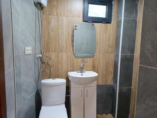 cosy, renovated house in Yerevan - Erevan - 2