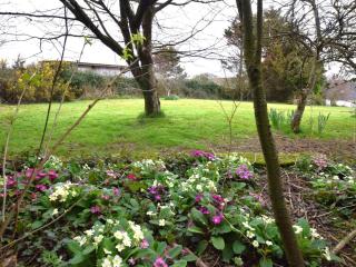 3 Bed in Newquay 82369 - Mitchell - 8