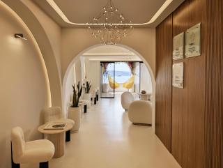 Andronis Luxury Suites - Oia - 6