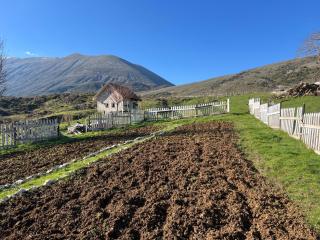 Saffron House south albania - Nivicë - 9