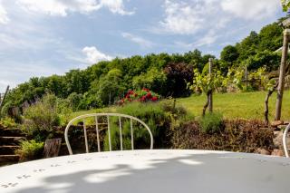 Ferienwohnung mit Kamin am Waldrand - 6