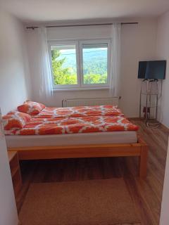 APARTMAN GRADINA - Gomirje - 3