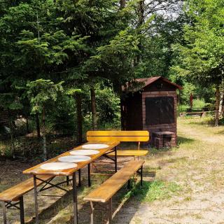 Rybaki 26 - Dom nad brzegiem Warty - 1