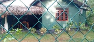 Matheesha Homestay - Sigiriya - 9