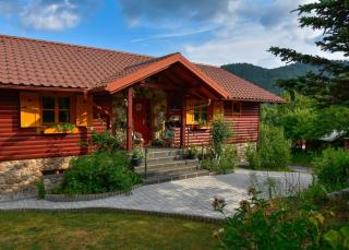 Apartment Vila Lokve - Lokve - 9