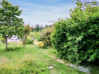 Vue imprenable sur la forêt avec jardin et parking - Blois - 9