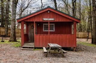 Cabin 4 - Russell - 6