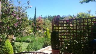Abigail's Garden Cottage - 9