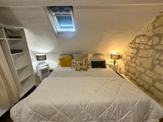 Petite Maison avec jardin privée - Savigny-en-véron - 0