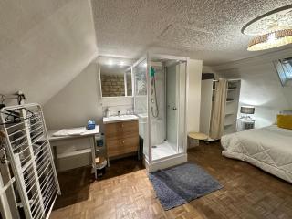 Petite Maison avec jardin privée - Savigny-en-véron - 4
