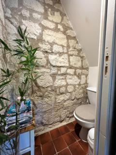Petite Maison avec jardin privée - Savigny-en-véron - 3