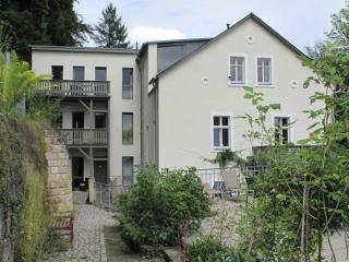 Apartments in Bad Schandau 41192 - Bad Schandau - 5