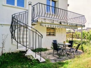 Vue imprenable sur la forêt avec jardin et parking - Blois - 5