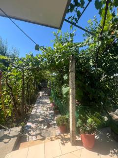 Vila Metushi - Saranda - 8