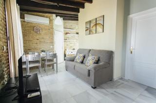 Spectacular penthouse with views 2BD1BTH - Seville - 2