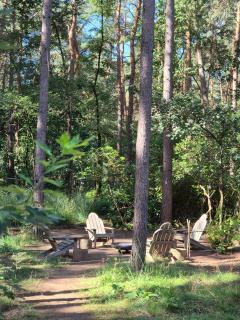 Stijlvolle bungalow met privébos - 3