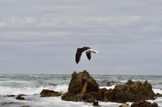 Seaview on 2822 - Bettyʼs Bay - 4