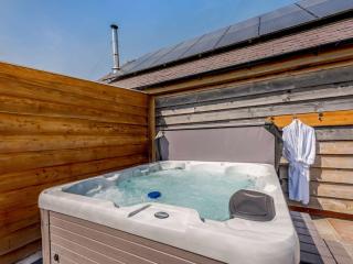 1 Bed in Ruthin 83640 - Efenechtyd - 8