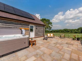 1 Bed in Ruthin 83640 - Efenechtyd - 9