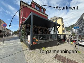 Romslig leilighet i hjertet av Bergen - Bergen - 9