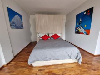 Cozy apartment in Beautiful area 3 - Città del Messico - 0